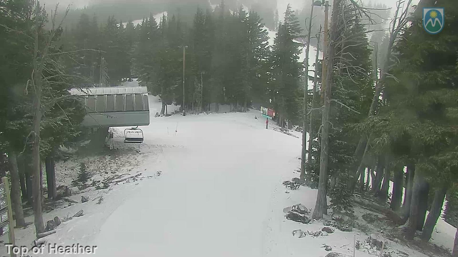 Webcam Mount Hood Meadows: Top of Heather