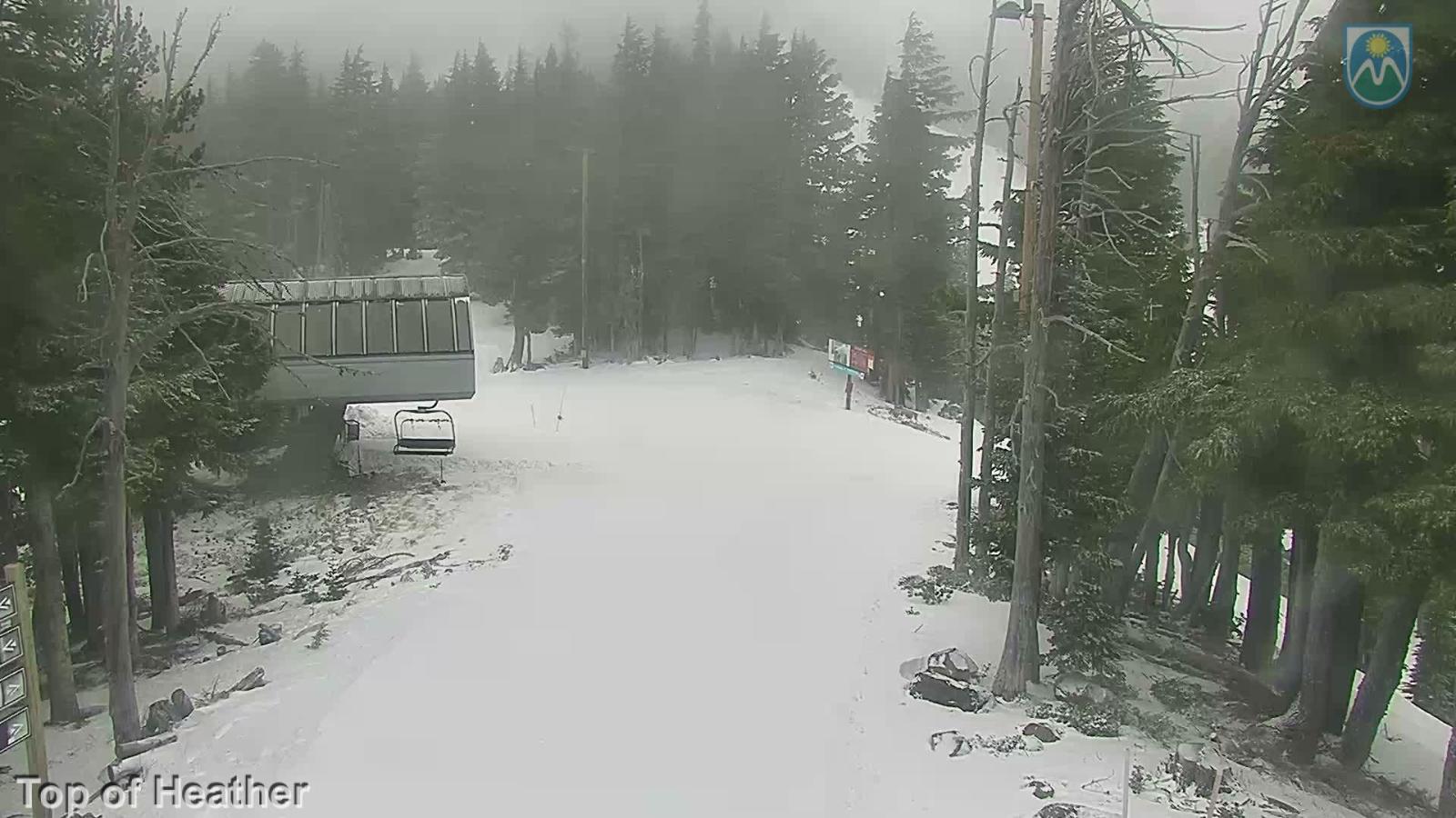 Webcam Mount Hood Meadows: Top of Heather