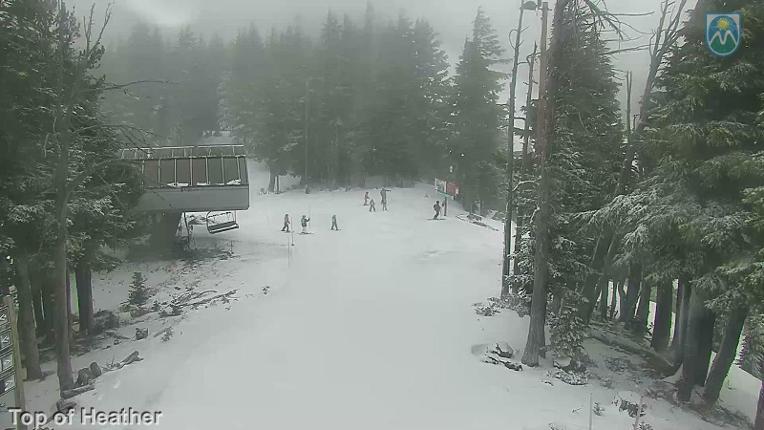 Webcam Mount Hood Meadows: Top of Heather