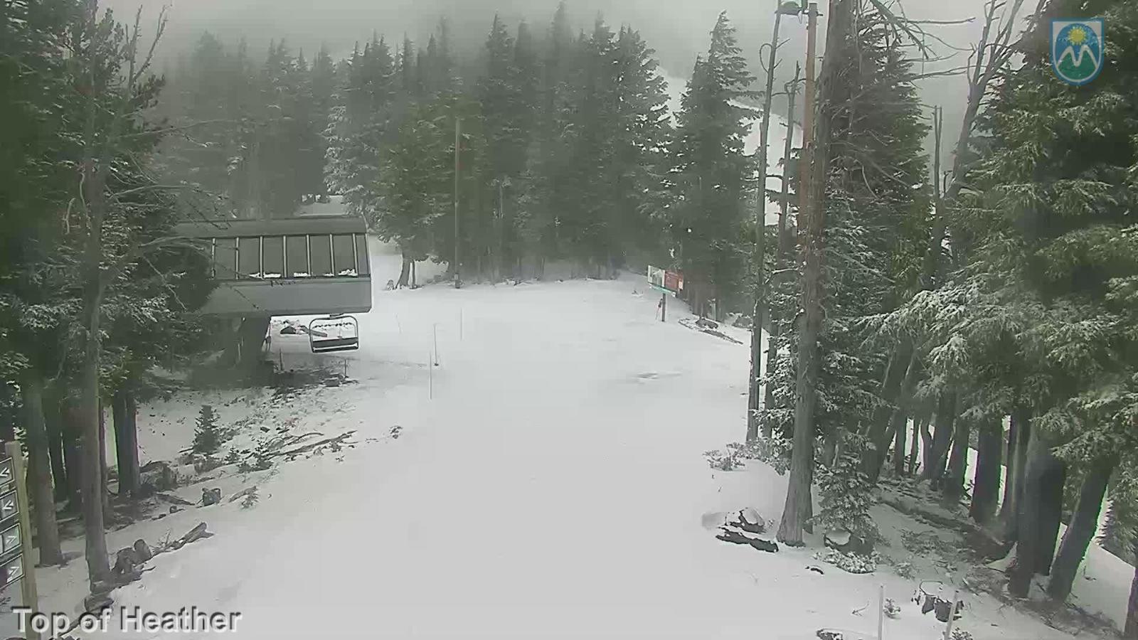 Webcam Mount Hood Meadows: Top of Heather