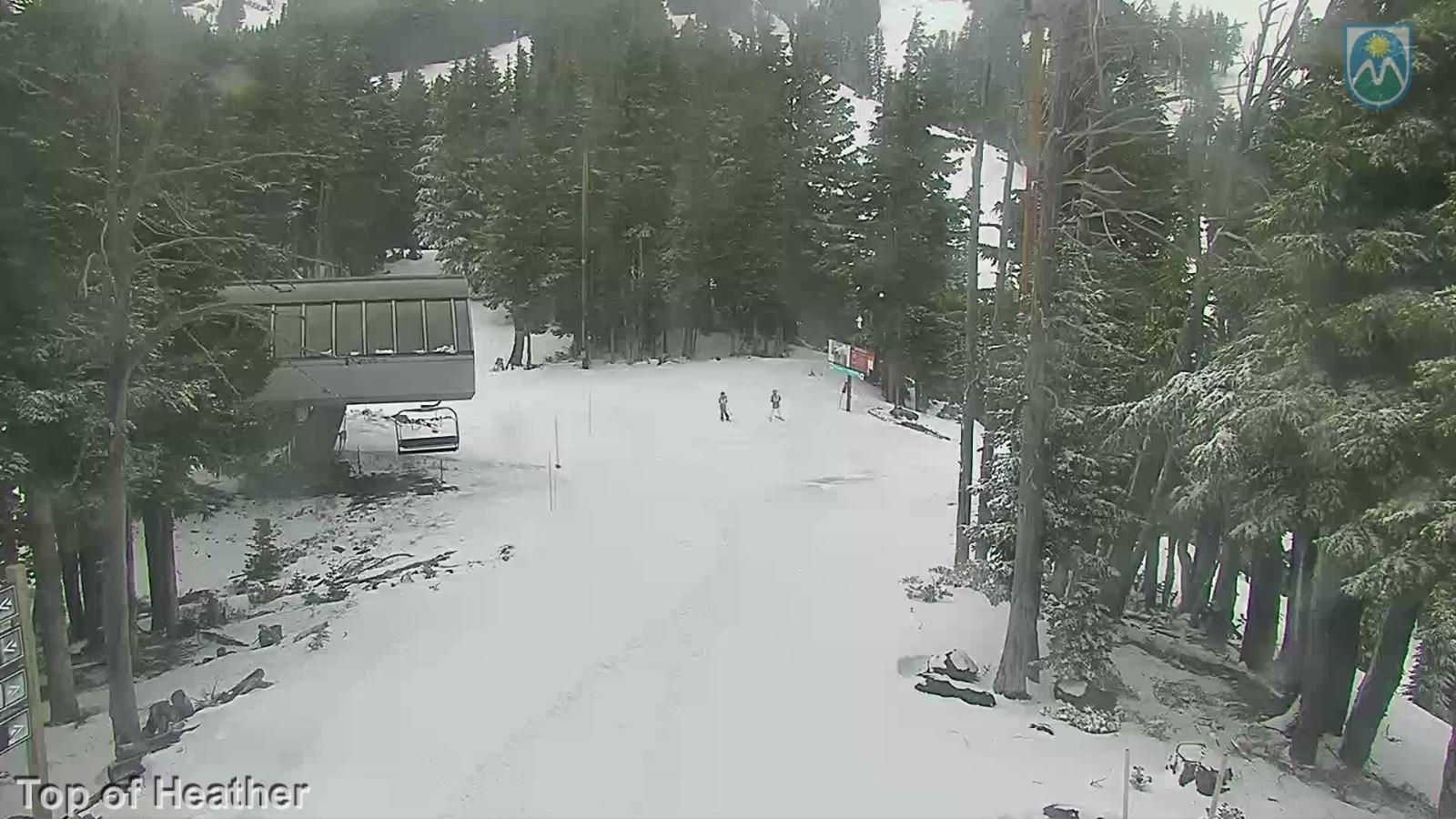 Webcam Mount Hood Meadows: Top of Heather