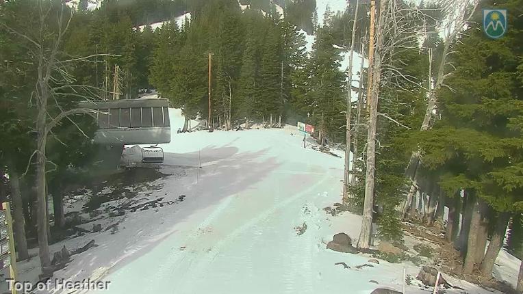 Webcam Mount Hood Meadows: Top of Heather