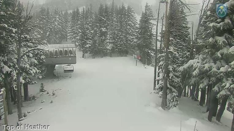 Webcam Mount Hood Meadows: Top of Heather