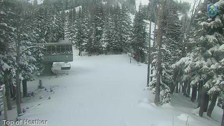 Webcam Mount Hood Meadows: Top of Heather
