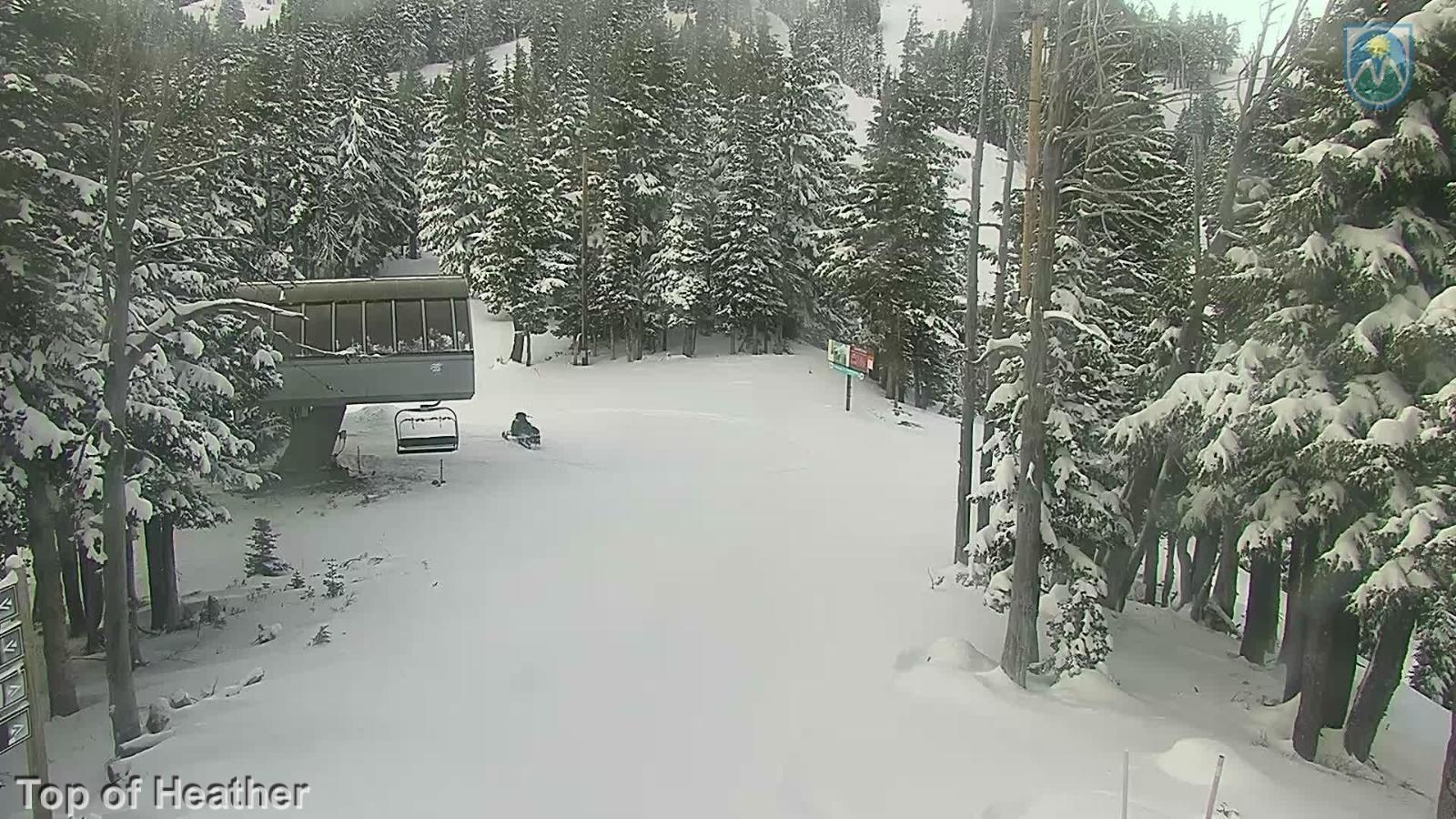 Webcam Mount Hood Meadows: Top of Heather