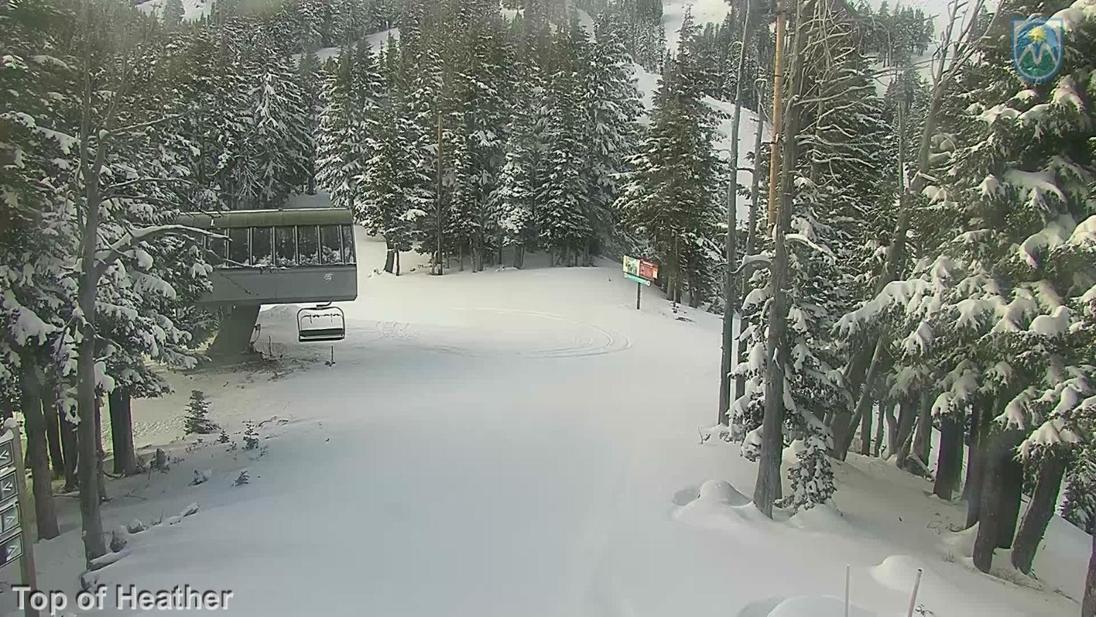 Webcam Mount Hood Meadows: Top of Heather