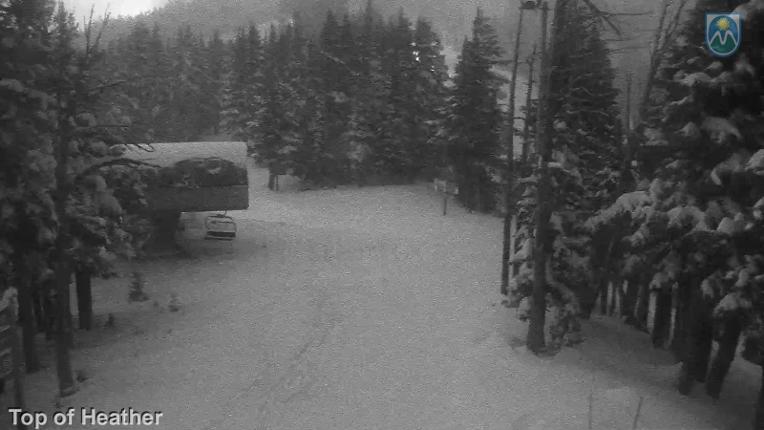 Webcam Mount Hood Meadows: Top of Heather
