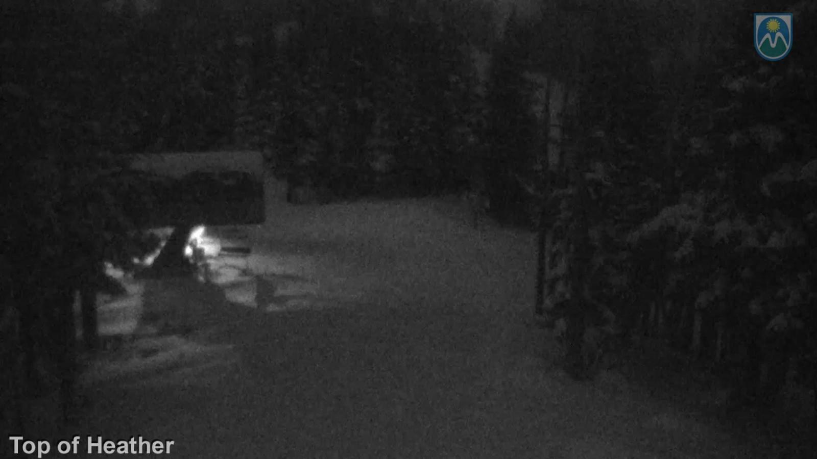 Webcam Mount Hood Meadows: Top of Heather