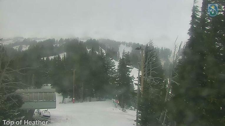 Webcam Mount Hood Meadows: Top of Heather