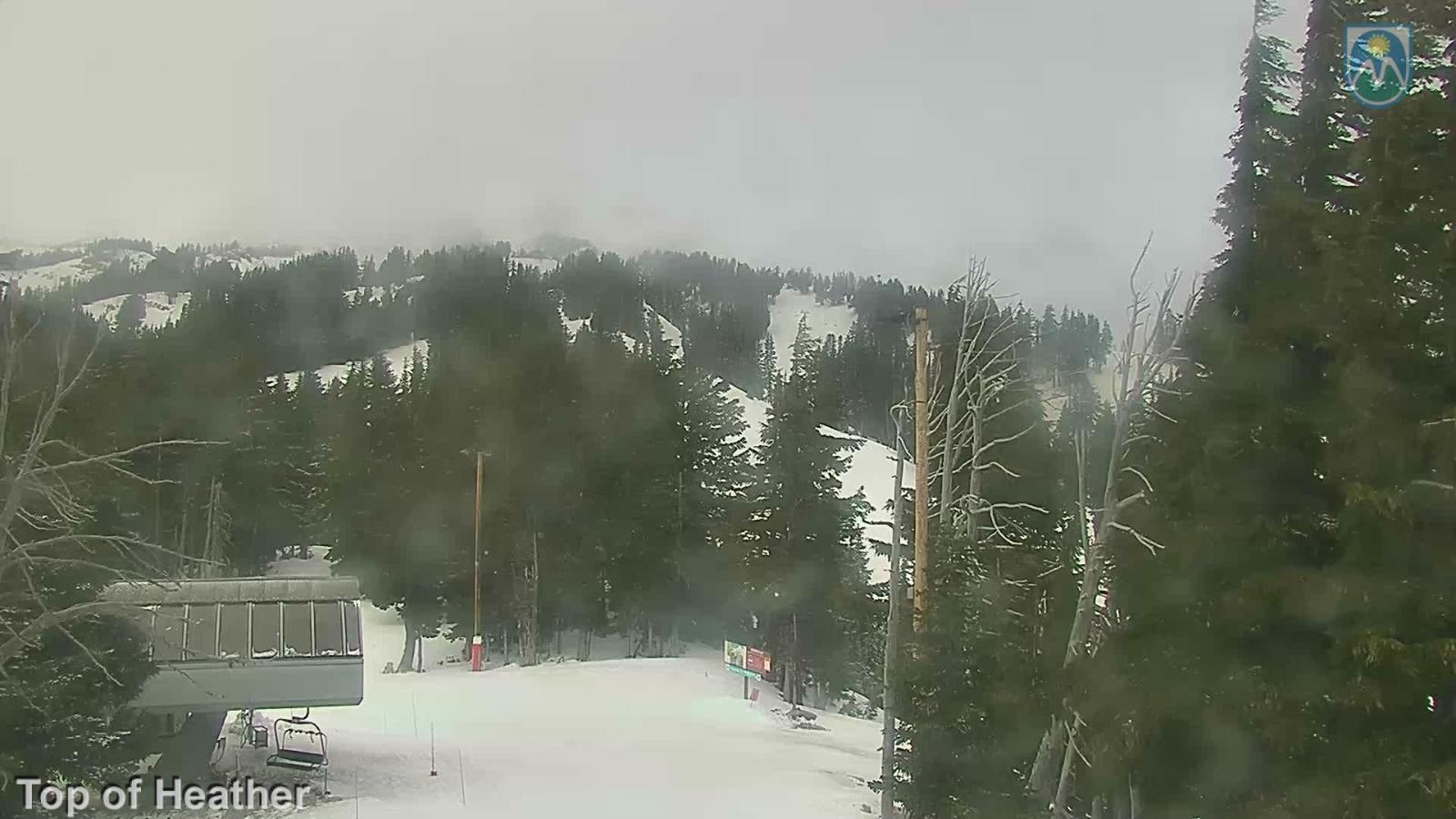 Webcam Mount Hood Meadows: Top of Heather