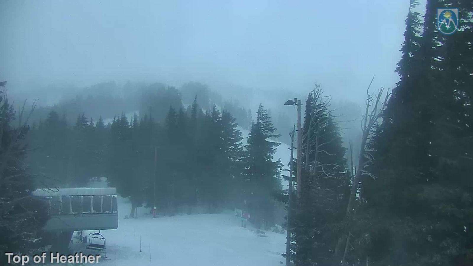 Webcam Mount Hood Meadows: Top of Heather