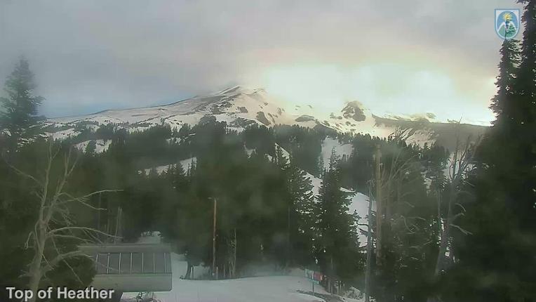 Webcam Mount Hood Meadows: Top of Heather