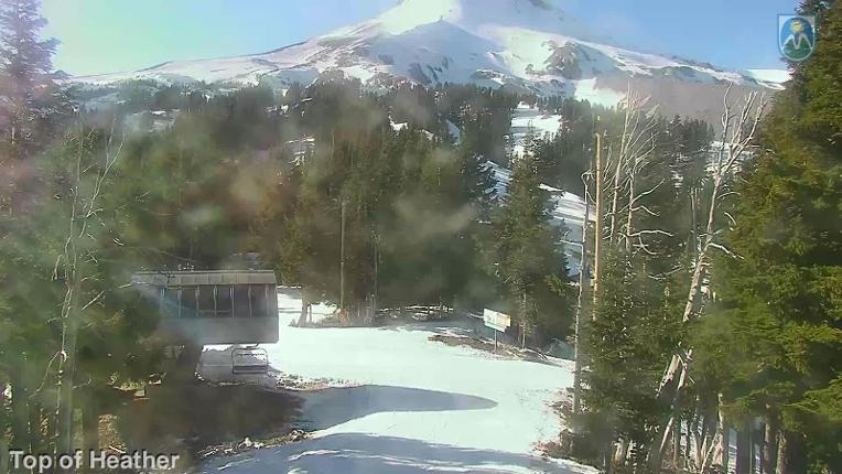 Webcam Mount Hood Meadows: Top of Heather