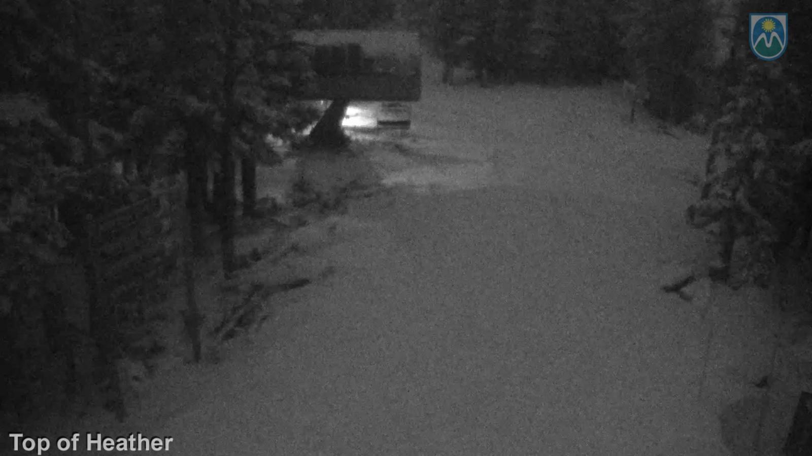 Webcam Mount Hood Meadows: Top of Heather