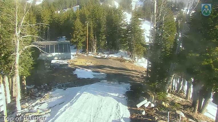 Webcam Mount Hood Meadows: Top of Heather