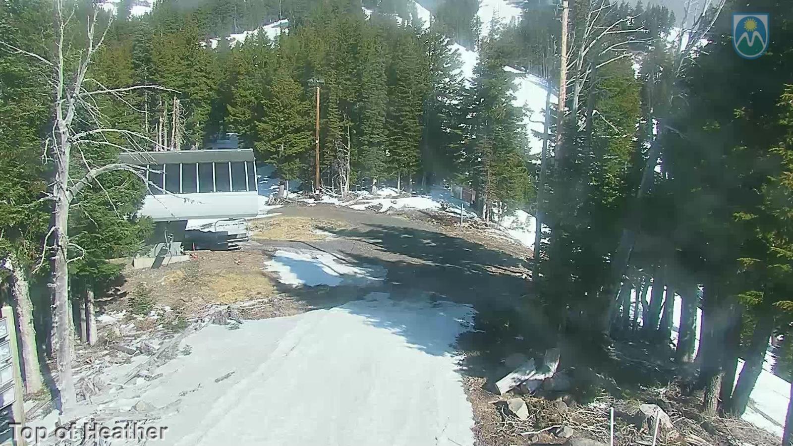 Webcam Mount Hood Meadows: Top of Heather