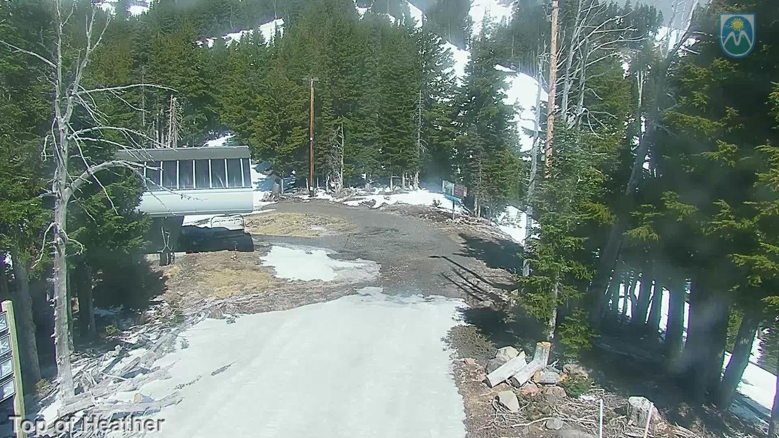 Webcam Mount Hood Meadows: Top of Heather