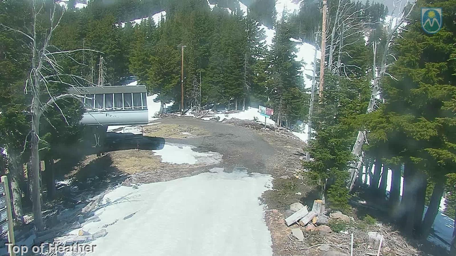 Webcam Mount Hood Meadows: Top of Heather
