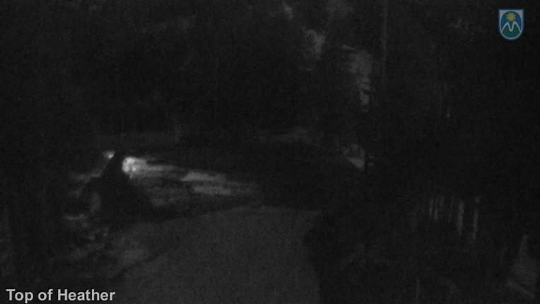 Webcam Mount Hood Meadows: Top of Heather