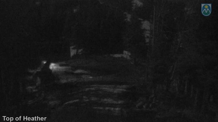 Webcam Mount Hood Meadows: Top of Heather