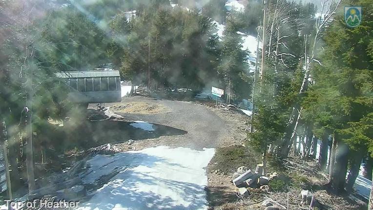 Webcam Mount Hood Meadows: Top of Heather