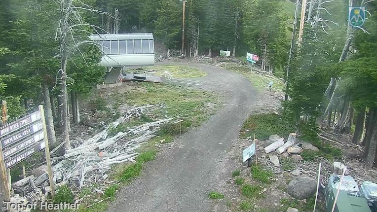 Webcam Mount Hood Meadows: Top of Heather