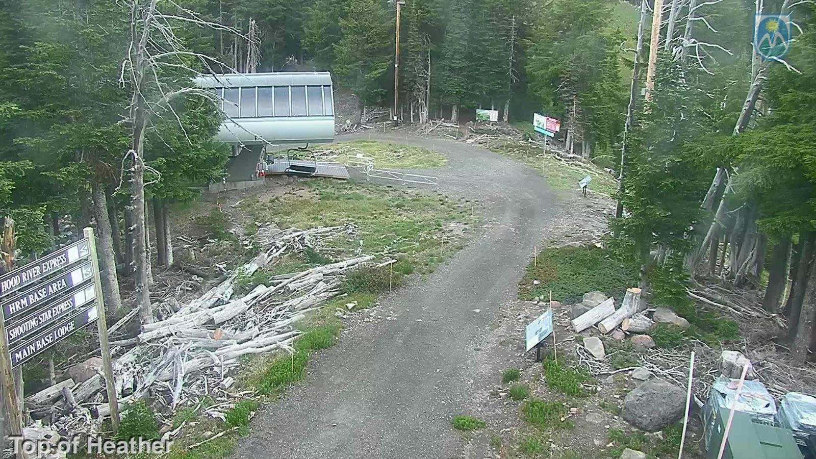 Webcam Mount Hood Meadows: Top of Heather