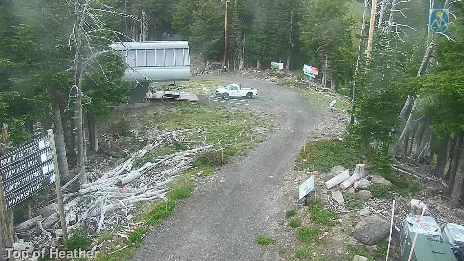 Webcam Mount Hood Meadows: Top of Heather