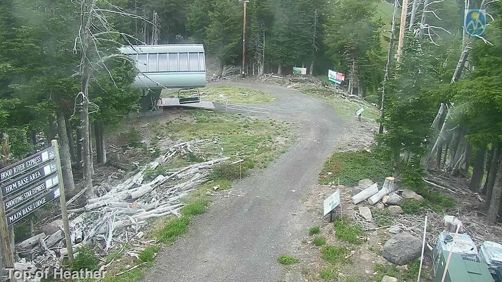 Webcam Mount Hood Meadows: Top of Heather