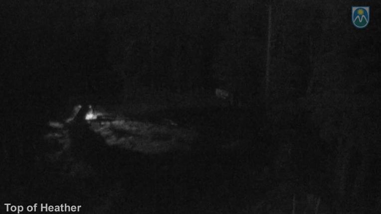 Webcam Mount Hood Meadows: Top of Heather