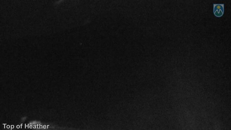 Webcam Mount Hood Meadows: Top of Heather