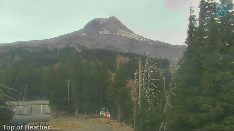 Webcam Mount Hood Meadows: Top of Heather