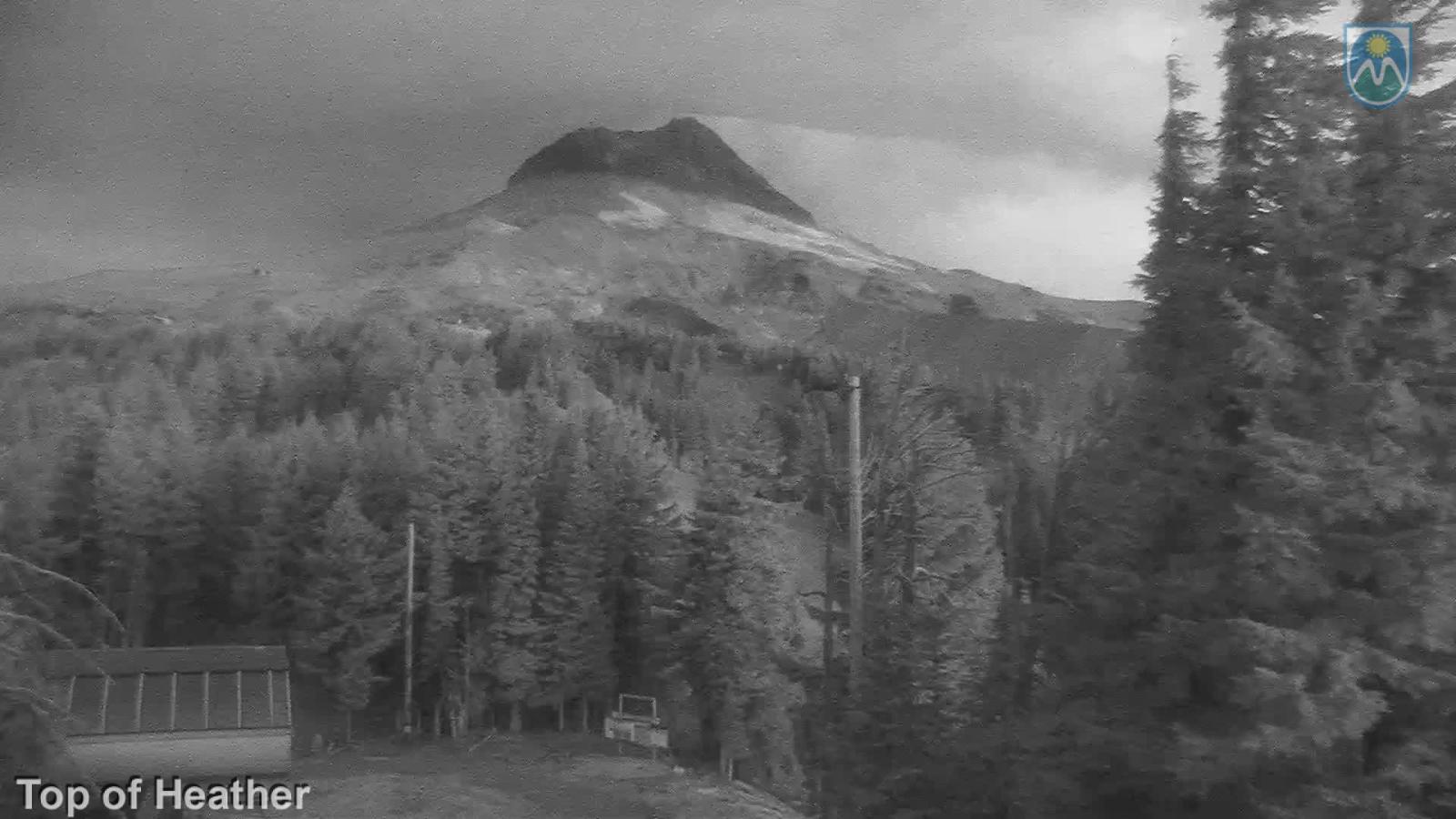 Webcam Mount Hood Meadows: Top of Heather