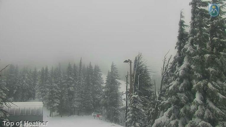 Webcam Mount Hood Meadows: Top of Heather