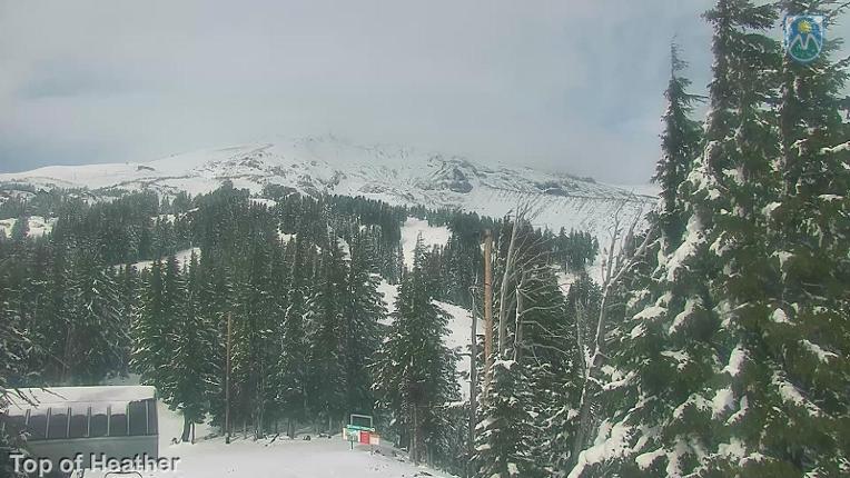 Webcam Mount Hood Meadows: Top of Heather