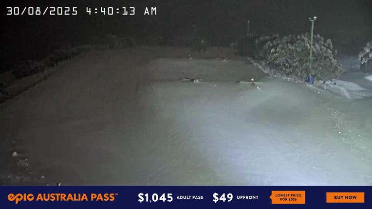 Webcam Mount Hotham: Big D