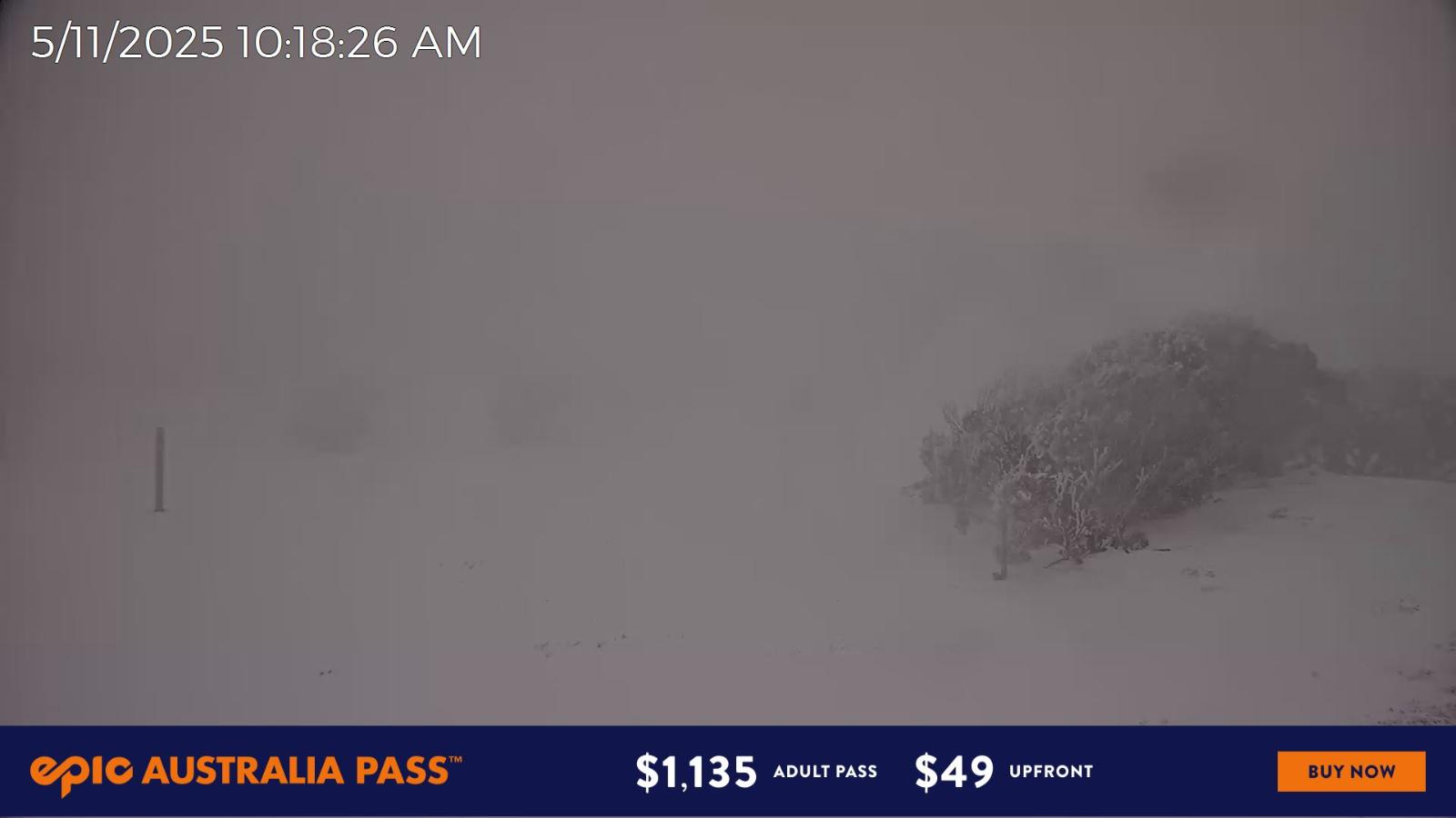 Webcam Mount Hotham: Skating Rink