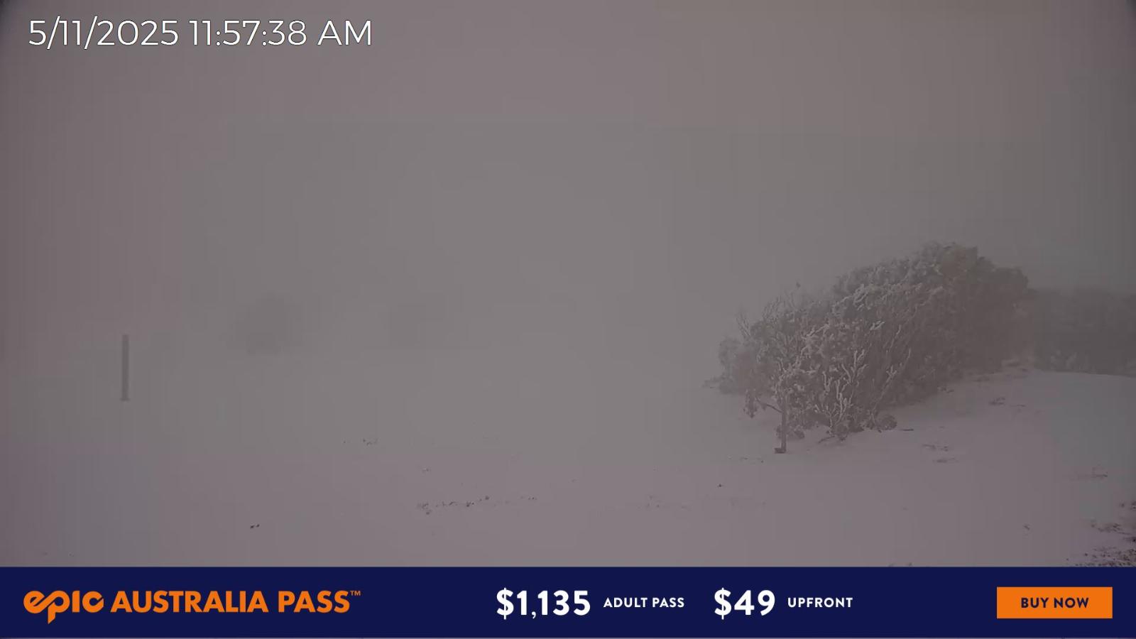 Webcam Mount Hotham: Skating Rink