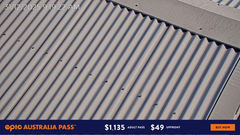 Webcam Mount Hotham: Skating Rink