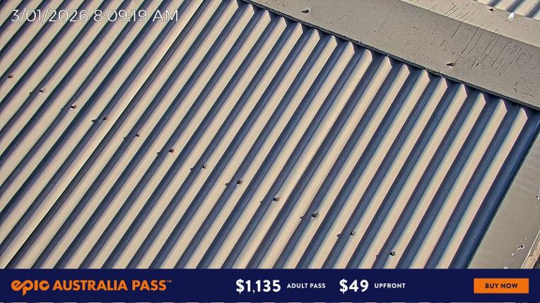 Webcam Mount Hotham: Skating Rink