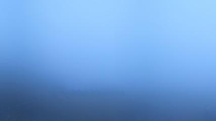 Image du rapport d'utilisateur dans Mount Hotham