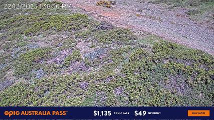 Mount Hotham: Upper Image (mthotham.com.au)