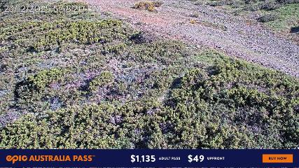 Imagem do relatório do usuário em Mount Hotham