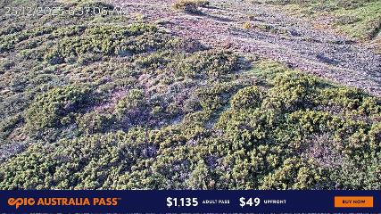 Imagem do relatório do usuário em Mount Hotham