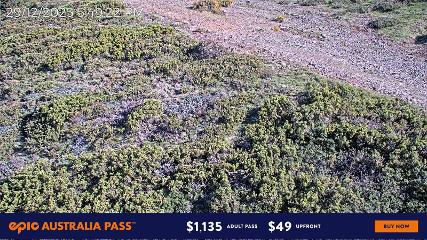 Mount Hotham: Upper Image (mthotham.com.au)