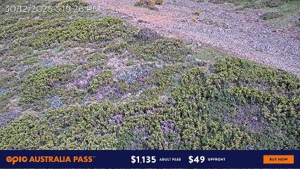 Mount Hotham: Upper Image (mthotham.com.au)