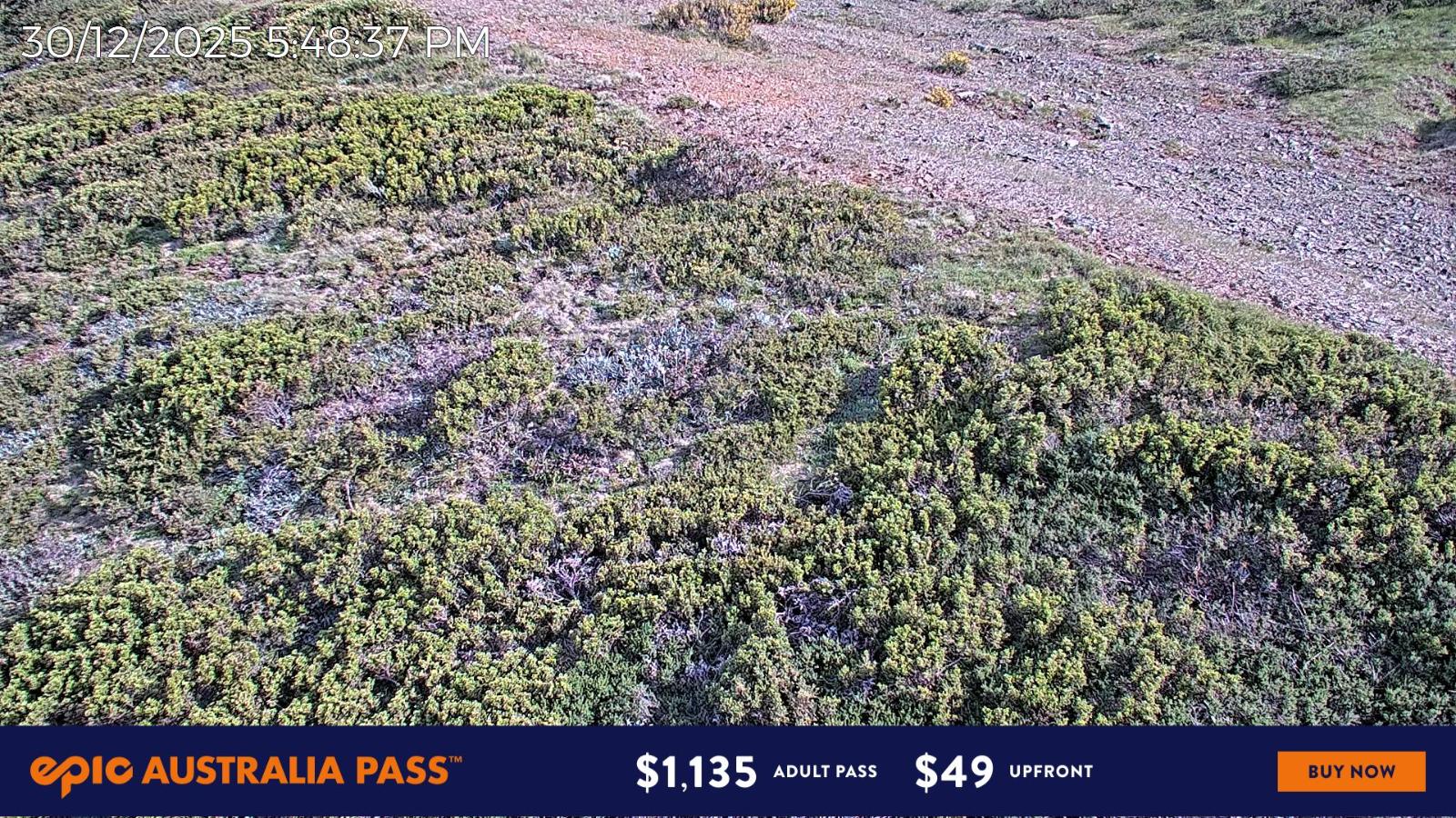 Webcam Mount Hotham: Upper Image