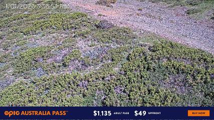 Mount Hotham: Upper Image (mthotham.com.au)