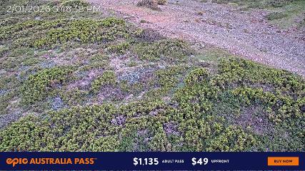 Mount Hotham: Upper Image (mthotham.com.au)