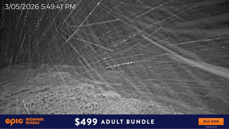 Webcam Mount Hotham: Upper Image
